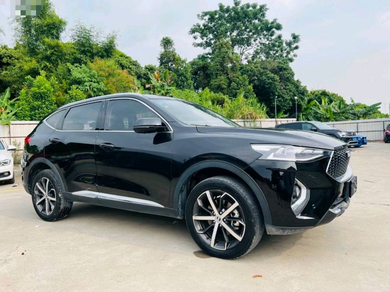 东莞19年哈弗F73