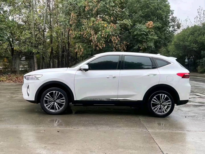 北京20年哈弗F74