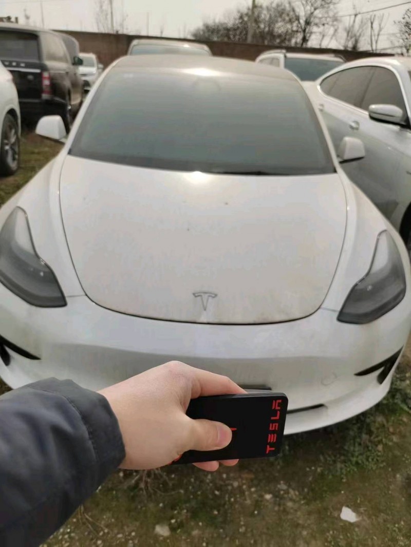 咸陽21年特斯拉MODEL 31