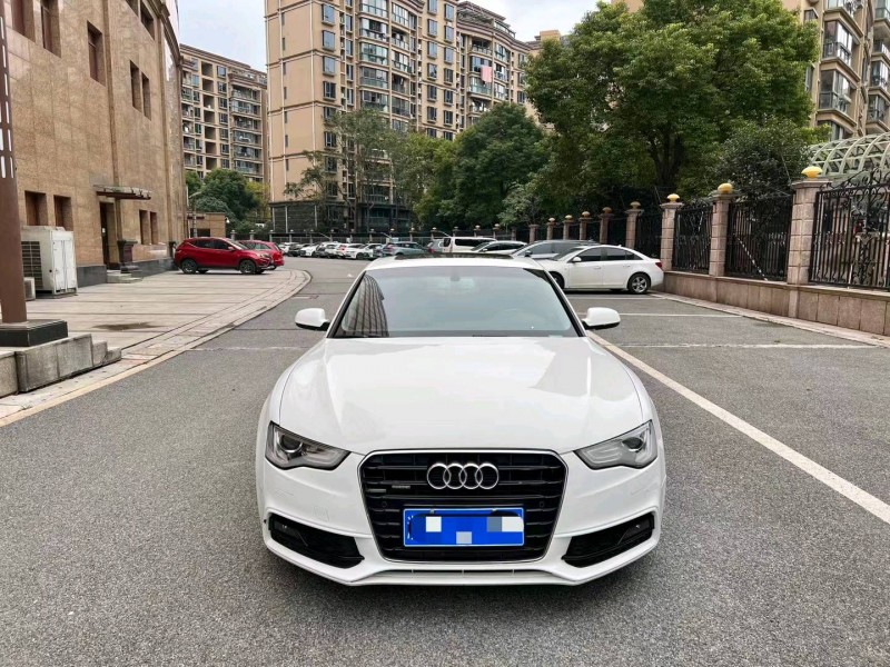 嘉兴13年奥迪A51