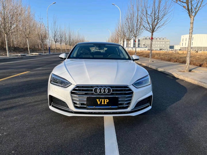 廊坊19年奥迪A51