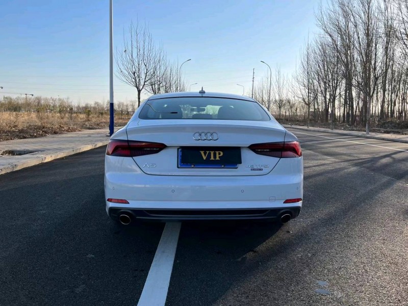 廊坊19年奥迪A59