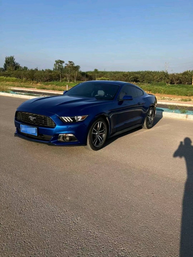 聊城17年福特野马3