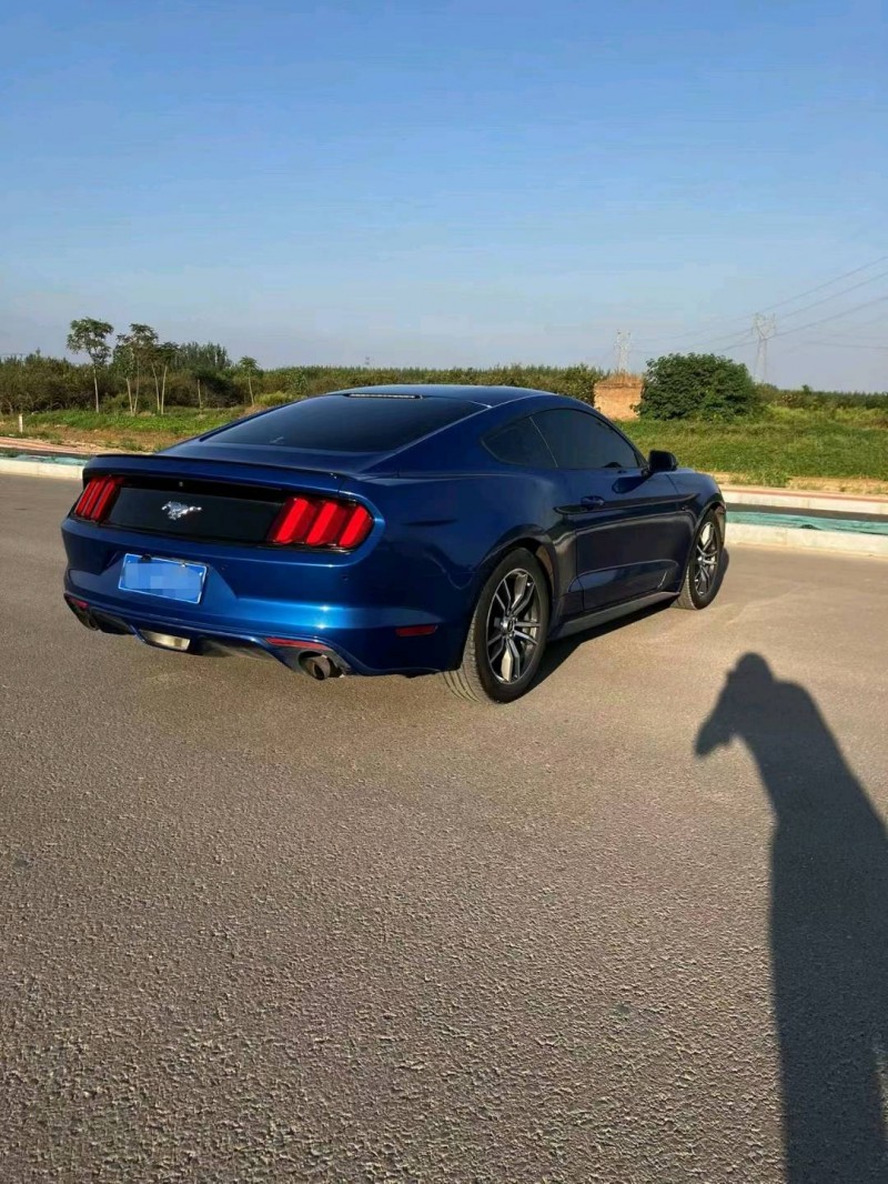 聊城17年福特野马6