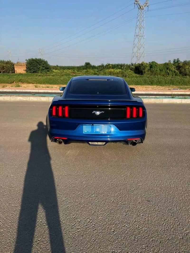 聊城17年福特野马7