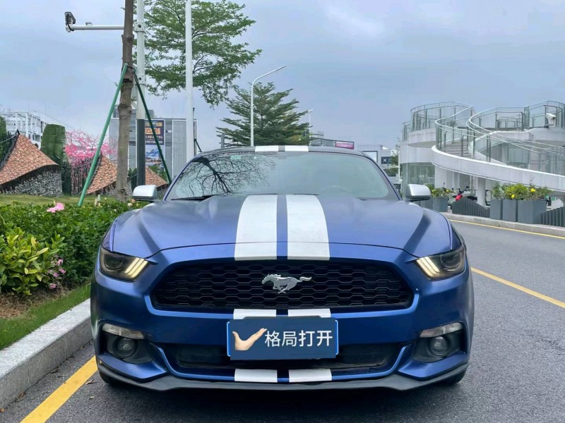 广州16年福特野马1