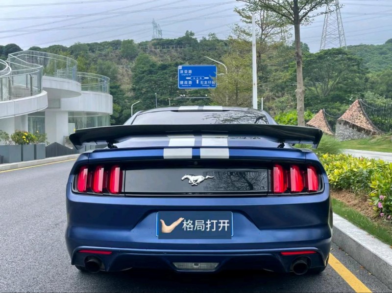 广州16年福特野马9