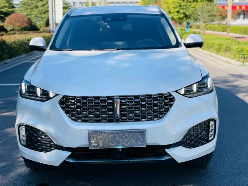 徐州19年长城汽车WEY VV61