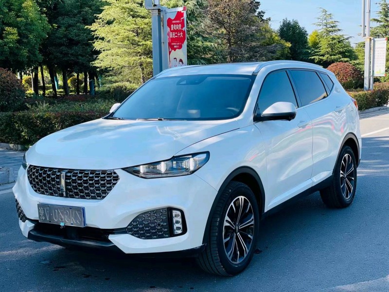 徐州19年长城汽车WEY VV63