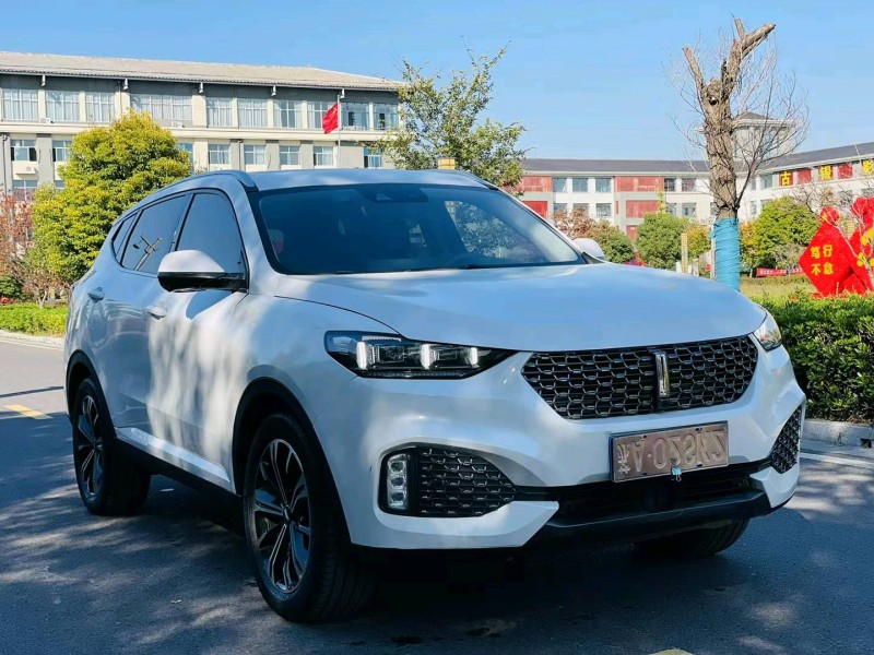 徐州19年长城汽车WEY VV65