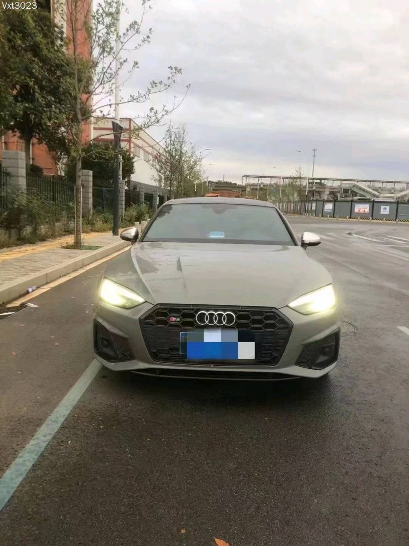 东莞22年奥迪S51