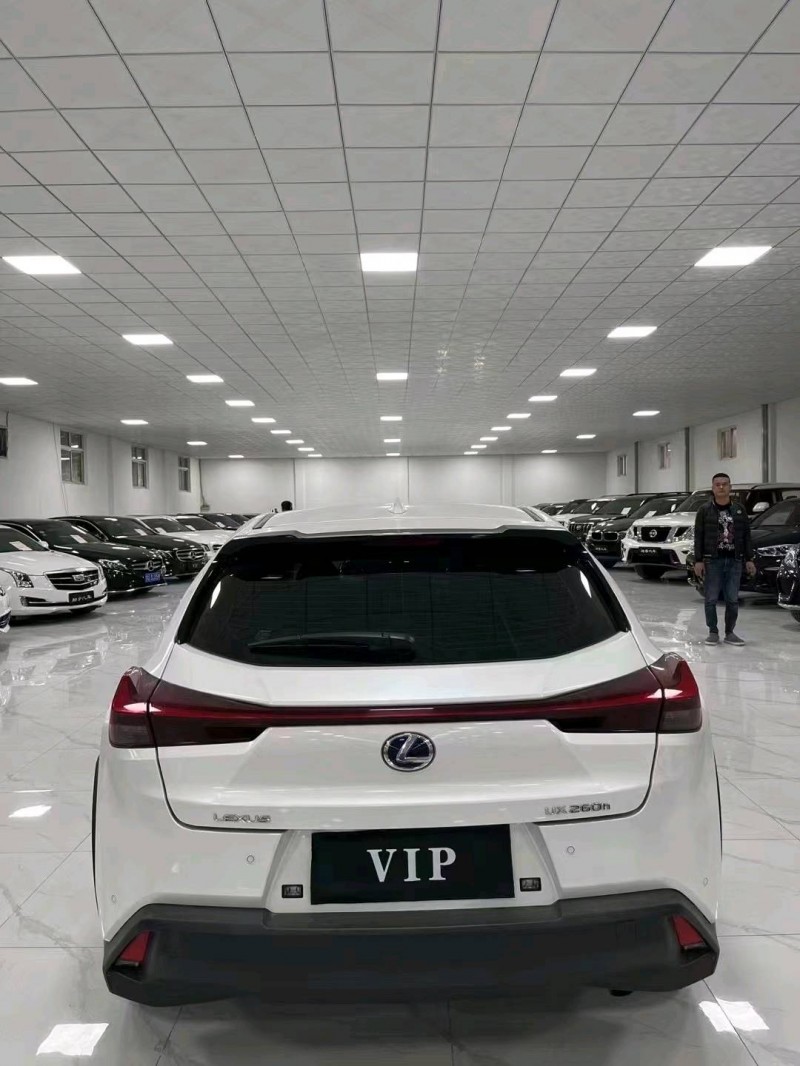 廊坊21年雷克萨斯UX9