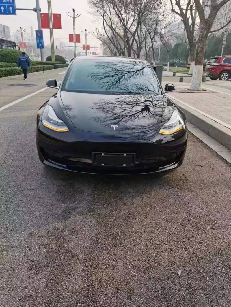 棗莊20年特斯拉MODEL 31