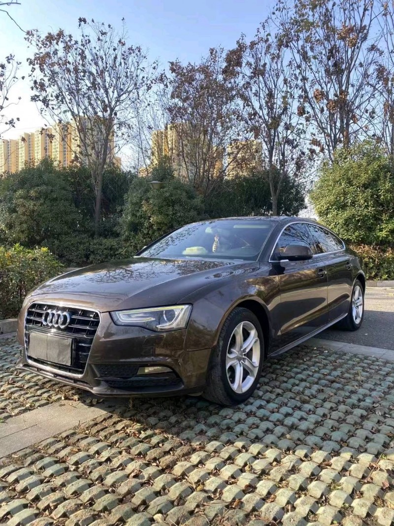 济南13年奥迪A52