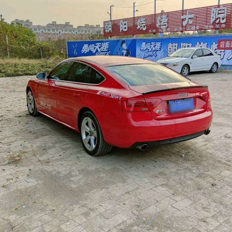 聊城13年奥迪A55