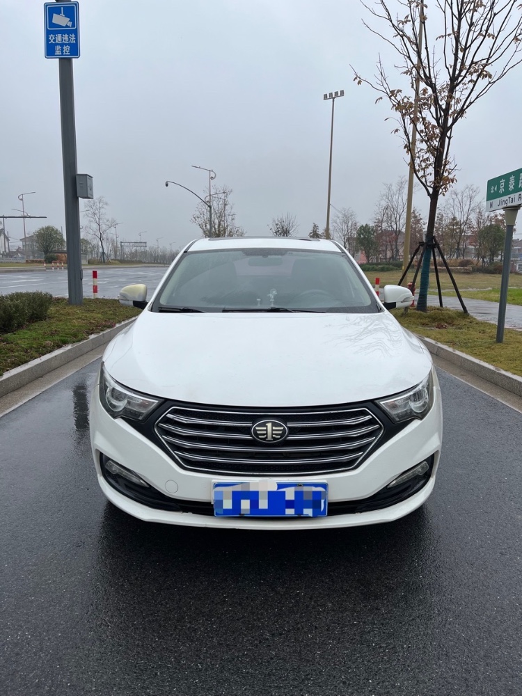 泰州18年奔騰B308