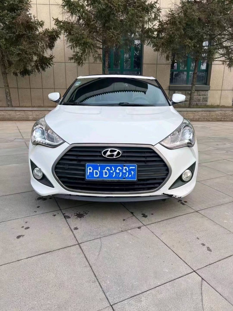 邯郸16年现代飞思9