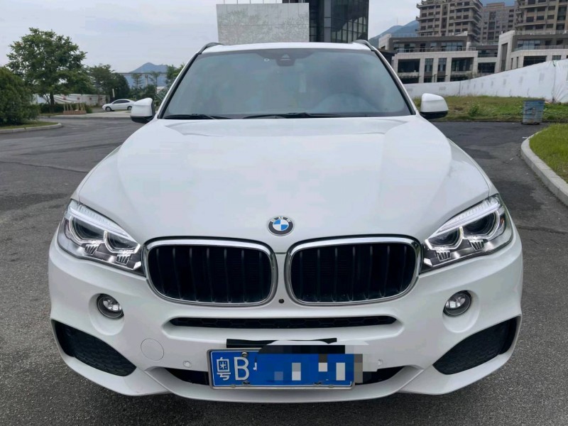 广州18年宝马X51