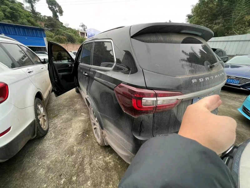 成都20年东风T56