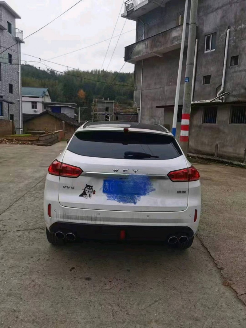 嘉兴19年WEYVV52