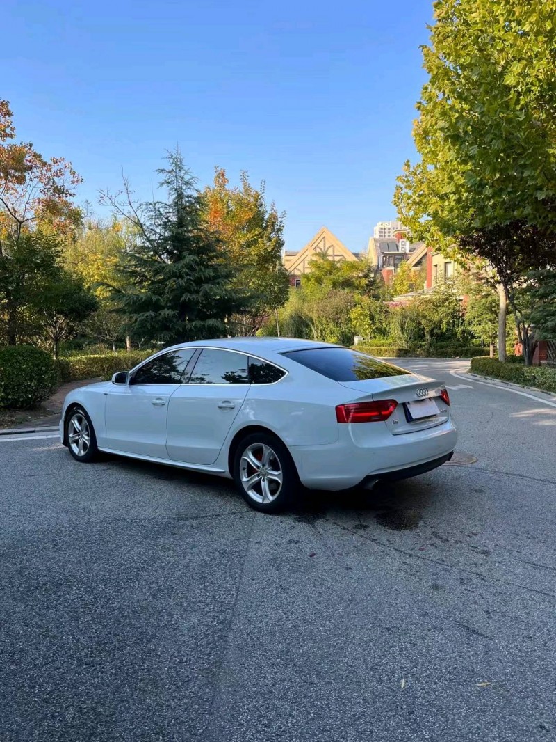 青岛15年奥迪A52