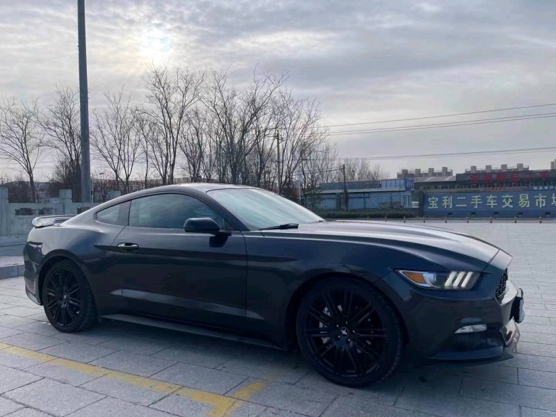 邯郸15年福特野马9