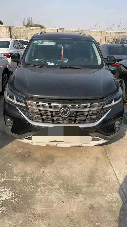 邯郸19年东风T51