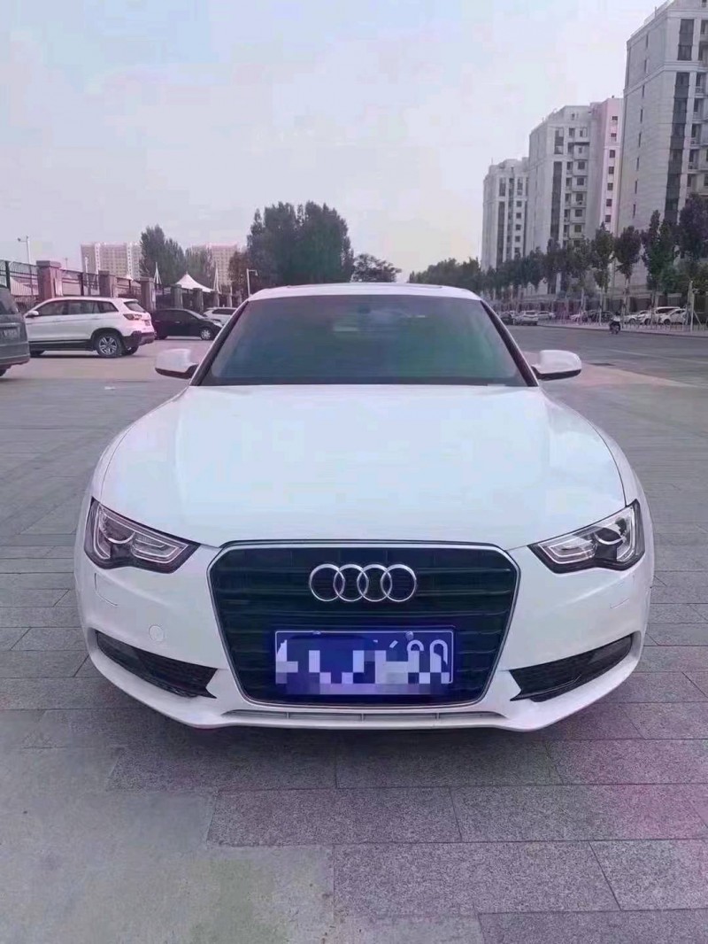 聊城15年奥迪A51