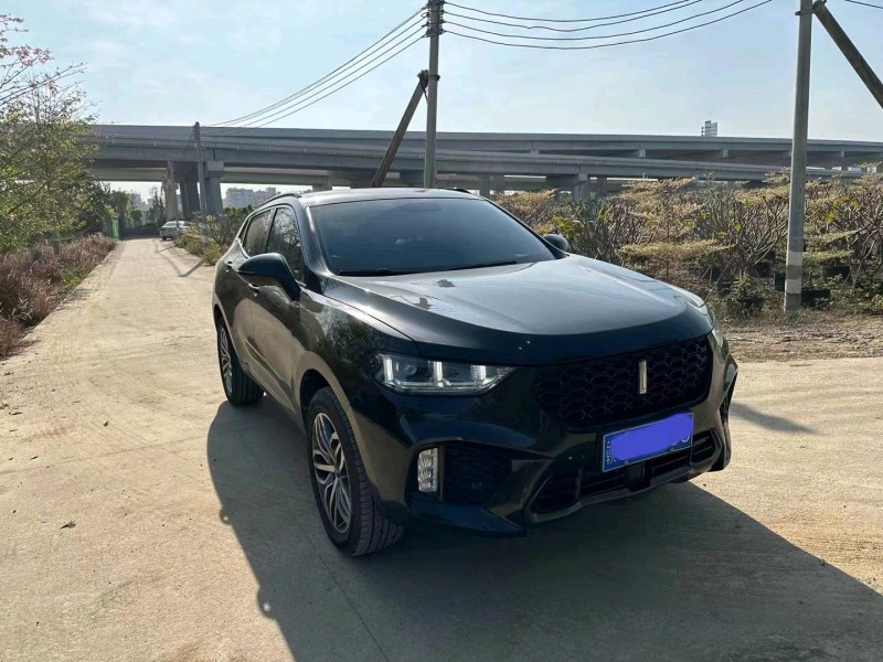 珠海18年WEYVV52