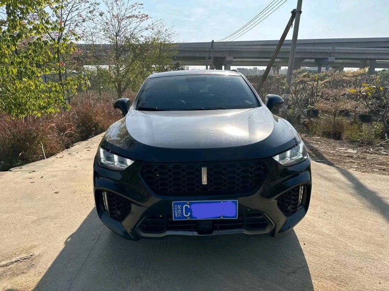 珠海18年WEYVV51