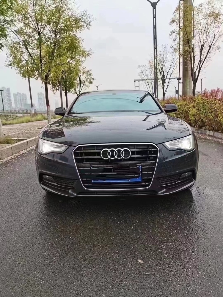 大同17年奧迪A51