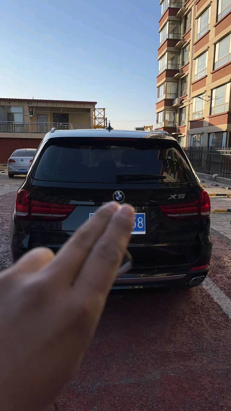 保定18年宝马X59