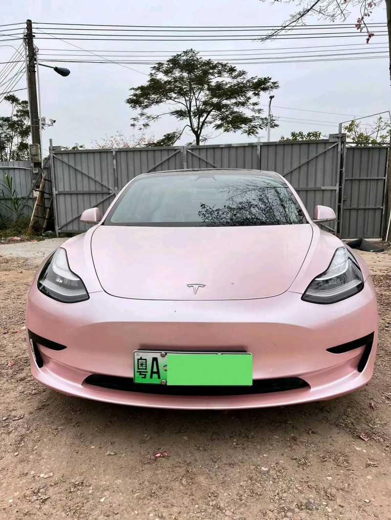 廣州20年特斯拉MODEL 31