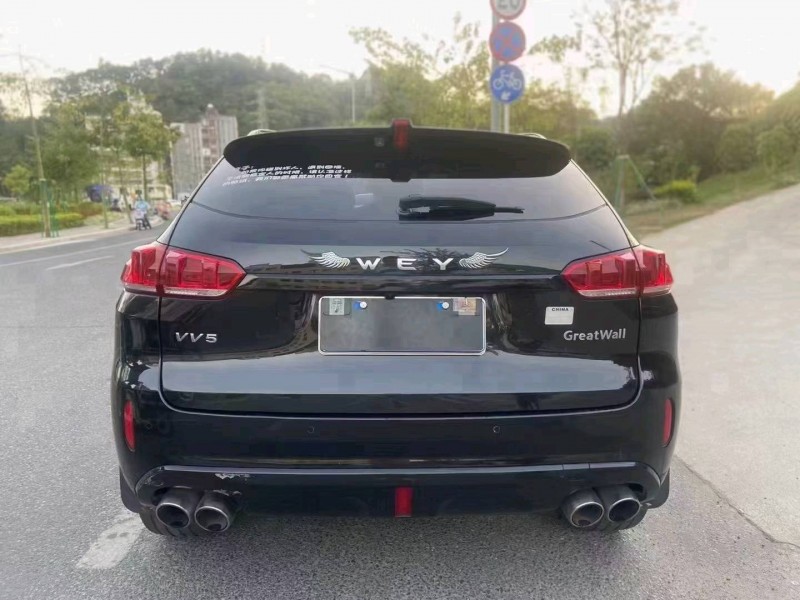 广州18年WEYVV55