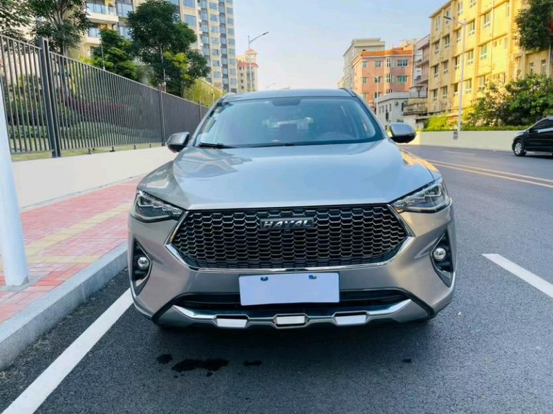 东莞20年哈弗F79