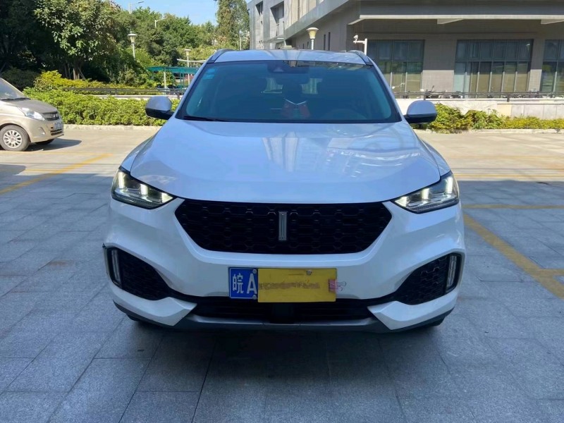 广州19年长城汽车WEY VV61