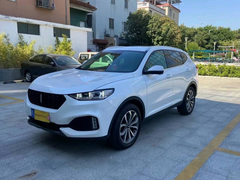 广州19年长城汽车WEY VV63
