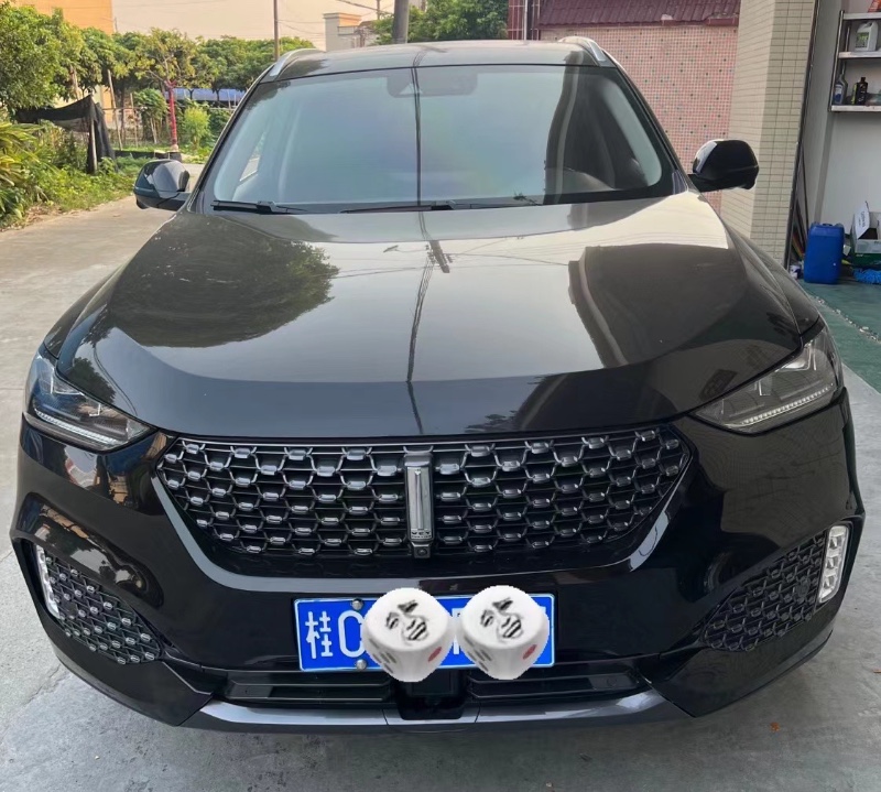 中山20年长城汽车WEY VV66