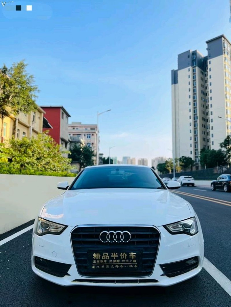 东莞12年奥迪A51