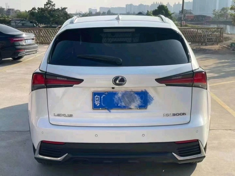 广州18年雷克萨斯NX9