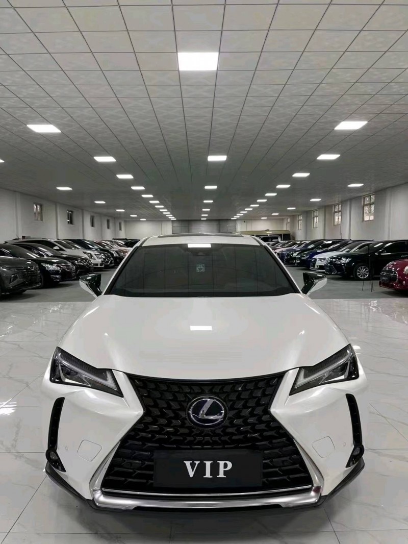 廊坊21年雷克萨斯UX1