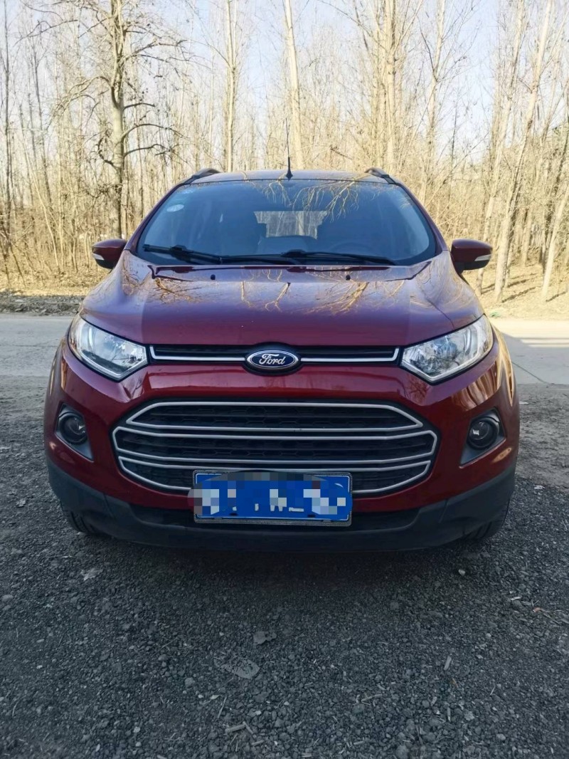 保定15年福特翼搏1