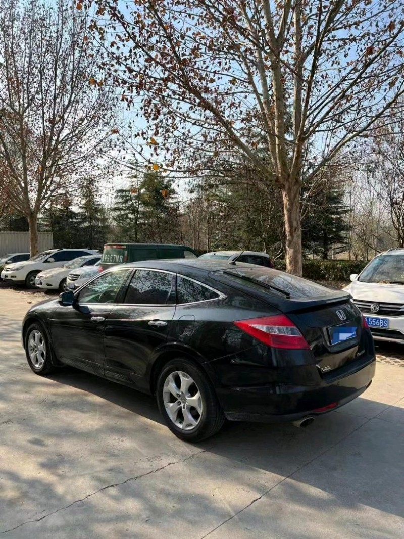 枣庄14年本田歌诗图3