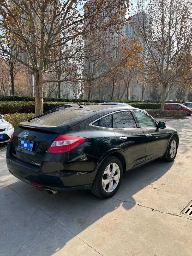 枣庄14年本田歌诗图9