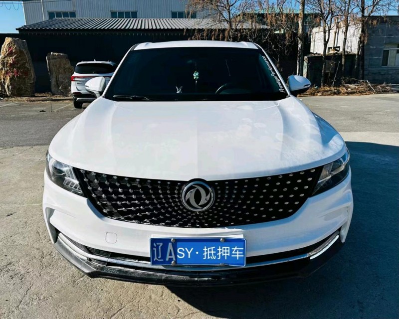 沈阳20年东风风光7