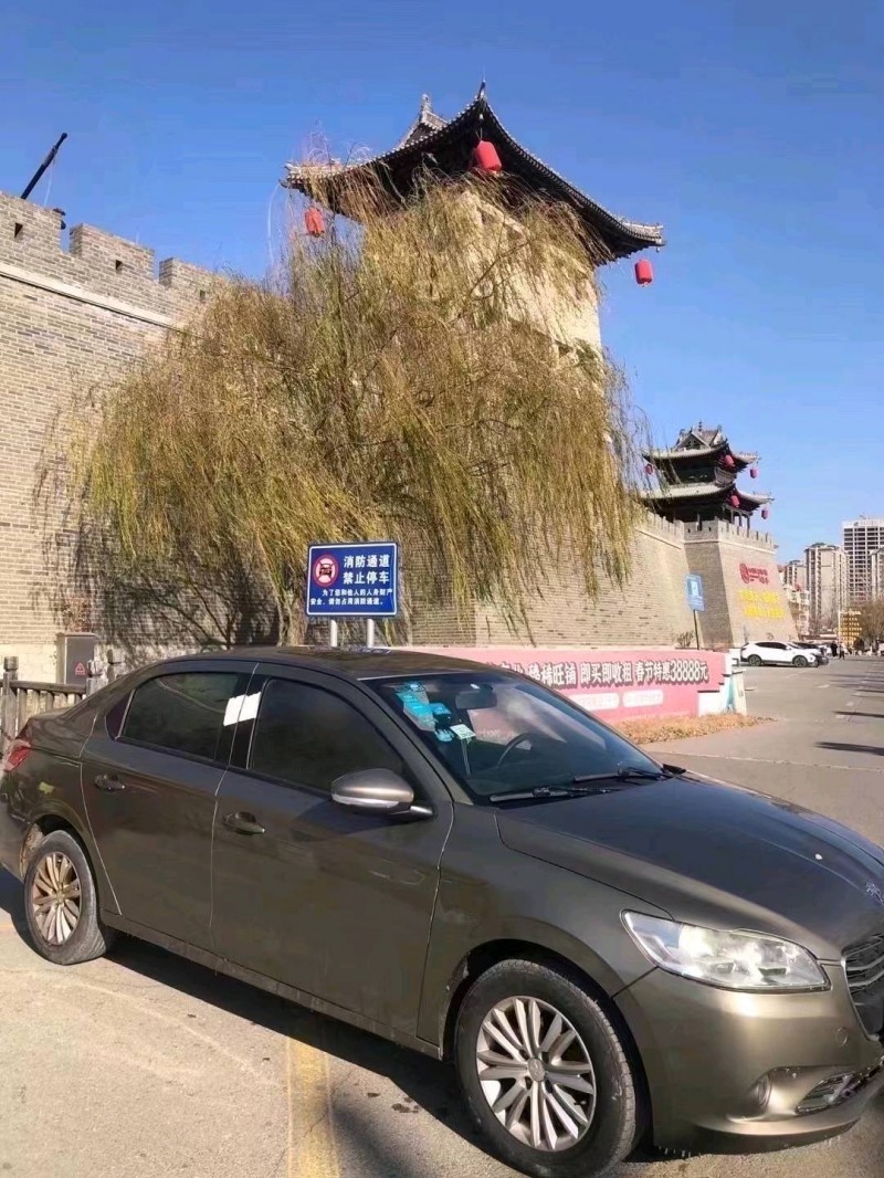 北京14年标致3019