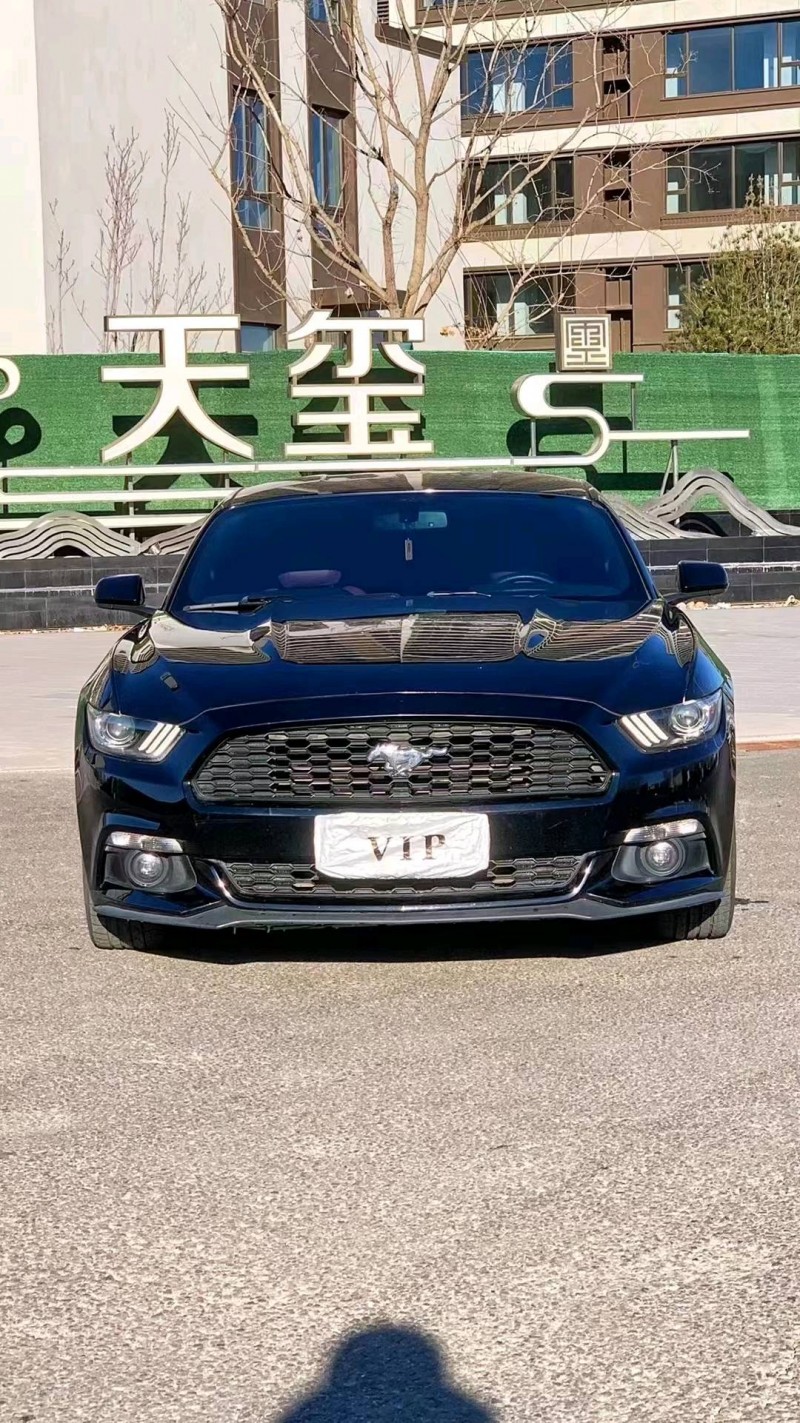 廊坊17年福特野马1