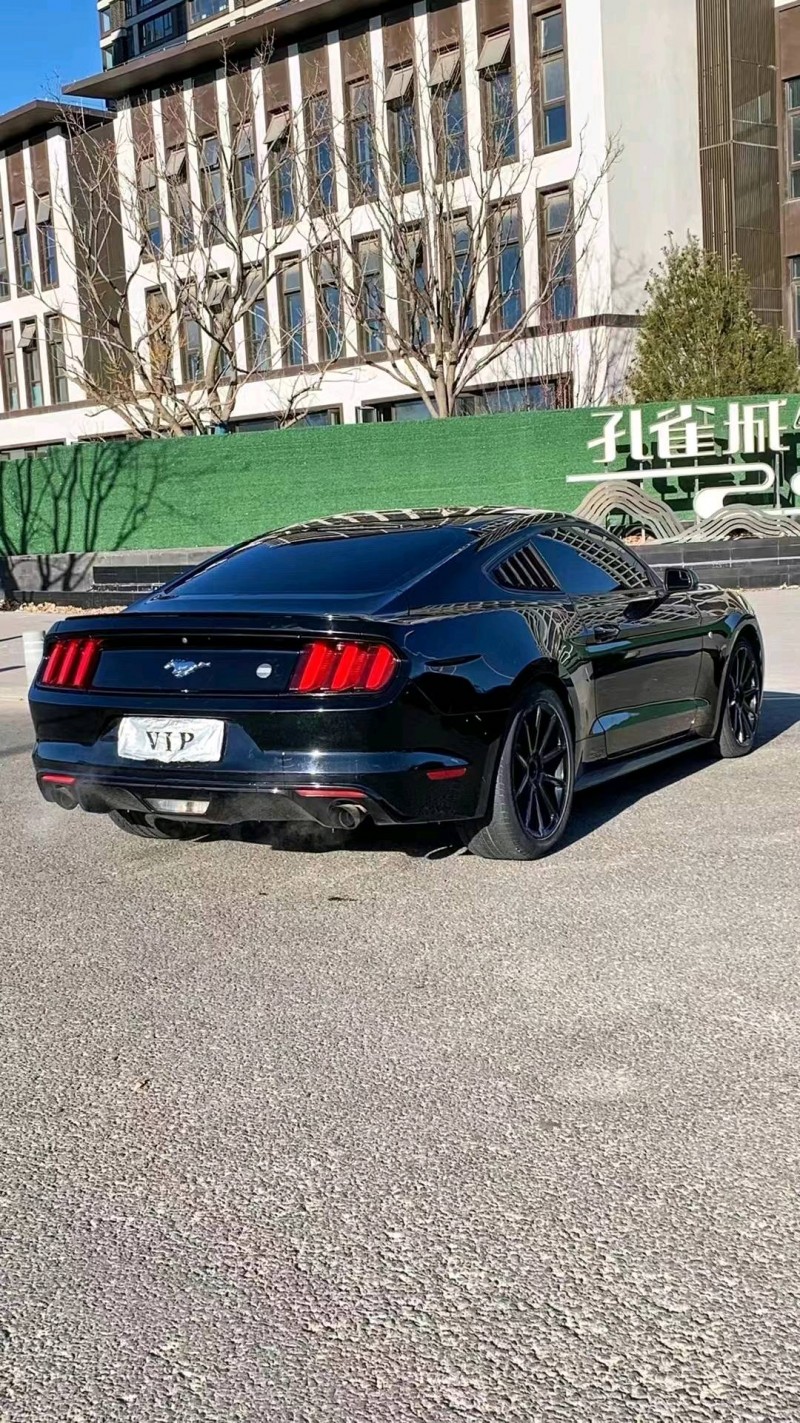 廊坊17年福特野马7