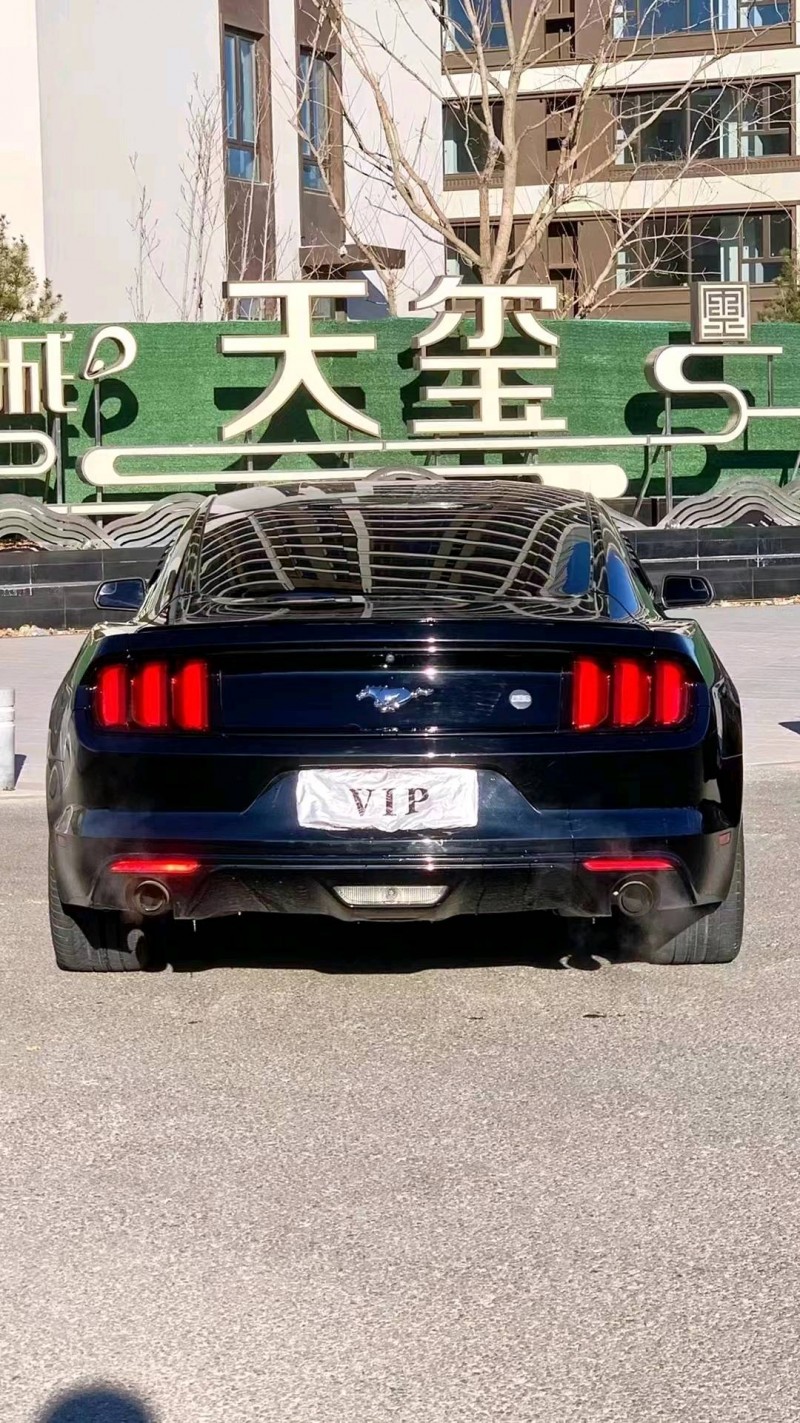 廊坊17年福特野马9