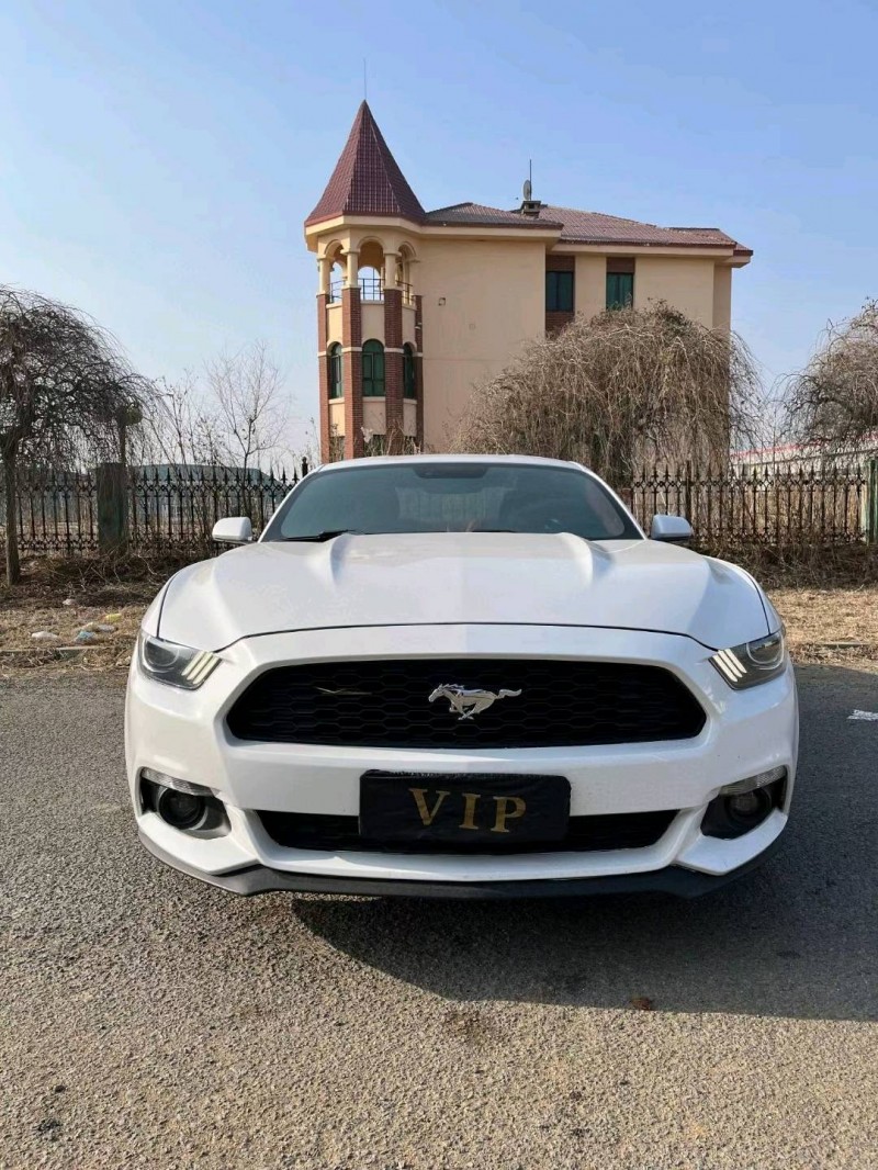 沈阳17年福特野马1